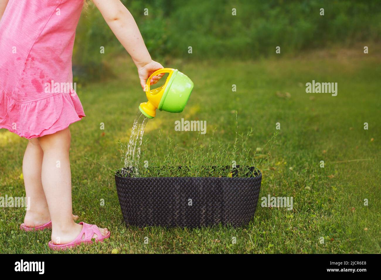 Cute little girl watering flowers in summer garden Stock Photo Alamy