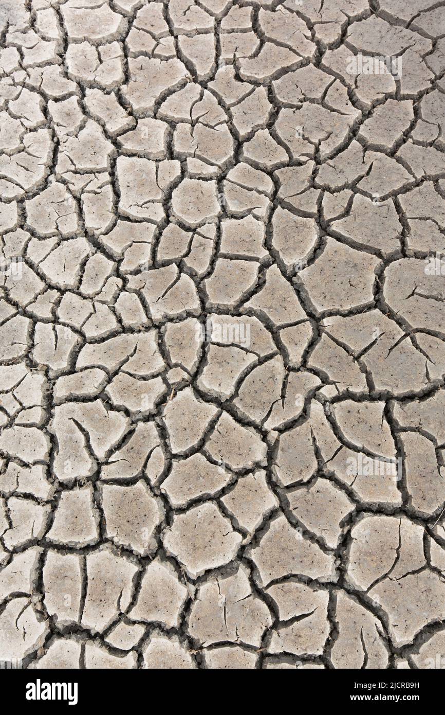 Drought, cracked mud. Germany Stock Photo