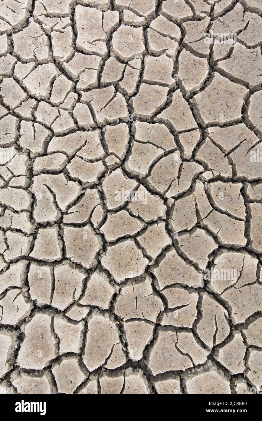 Drought, cracked mud. Germany Stock Photo