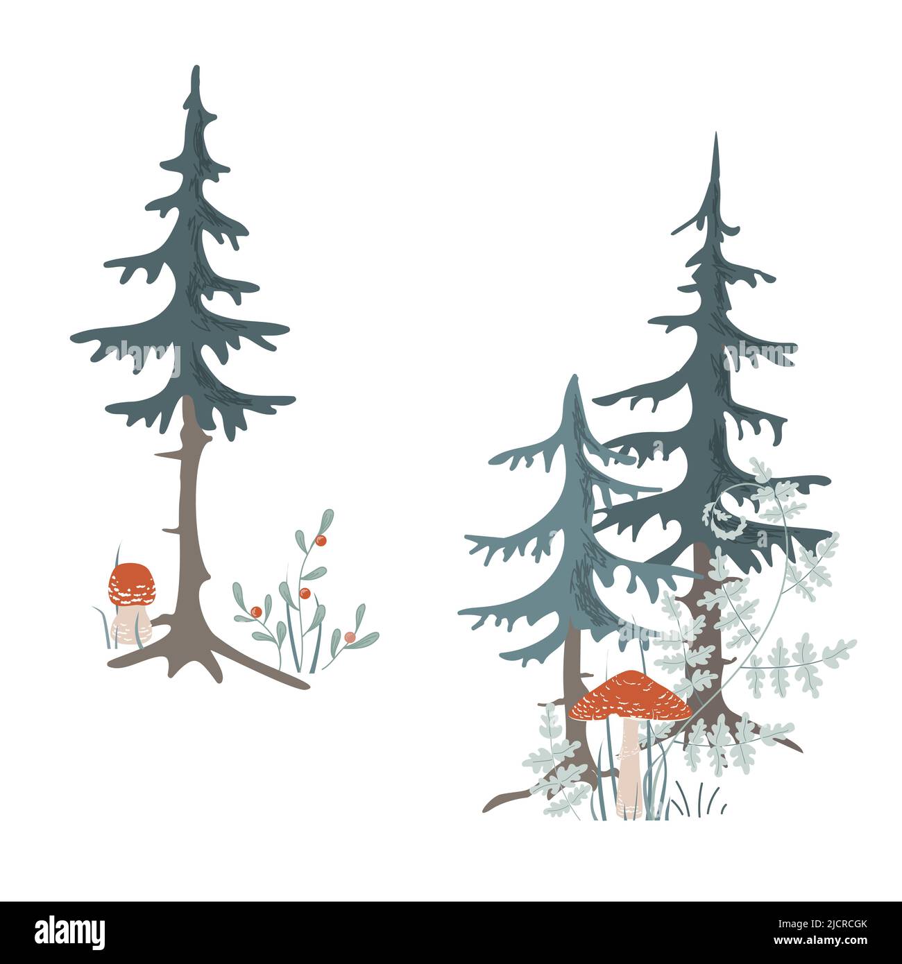 Forest isolated composition. Fir trees, herbs, and mushrooms. Design for kids cards, forest card invitation, prints. Banner decor design vector Stock Vector