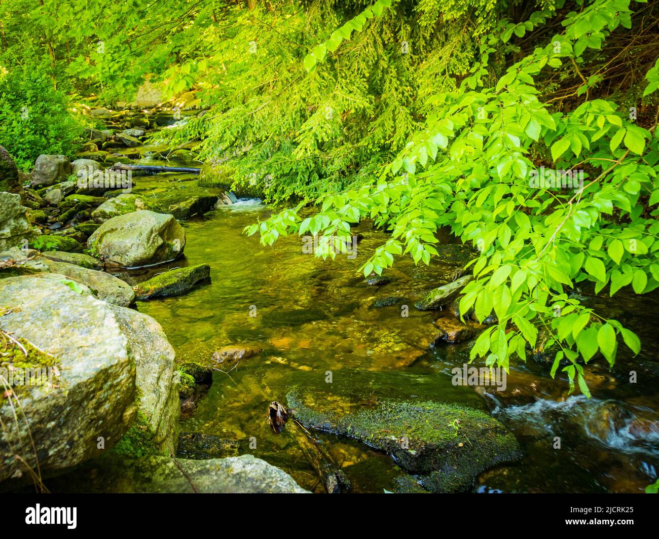 a brook flowing over rocks in the woods Stock Photo