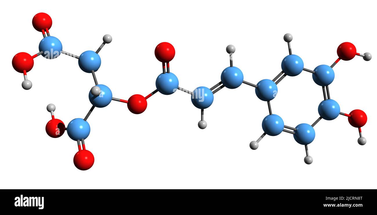 3D image of Caffeoylmalic acid skeletal formula - molecular chemical structure of  hydroxycinnamic acid ester isolated on white background Stock Photo