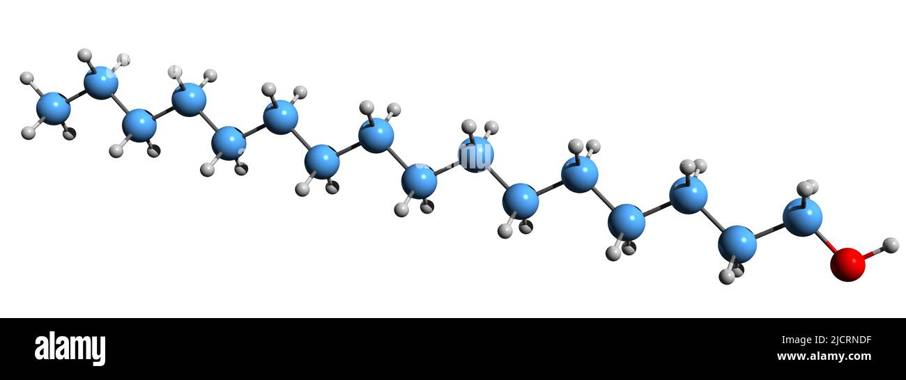 Cetyl alcohol molecule, illustration - Stock Image - F030/5196 - Science  Photo Library