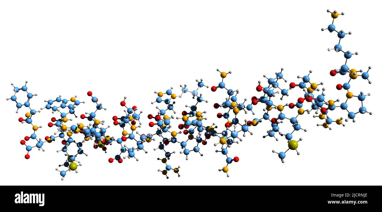 3D image of Cholecystokinin skeletal formula - molecular chemical structure of peptide hormone CCK isolated on white background Stock Photo