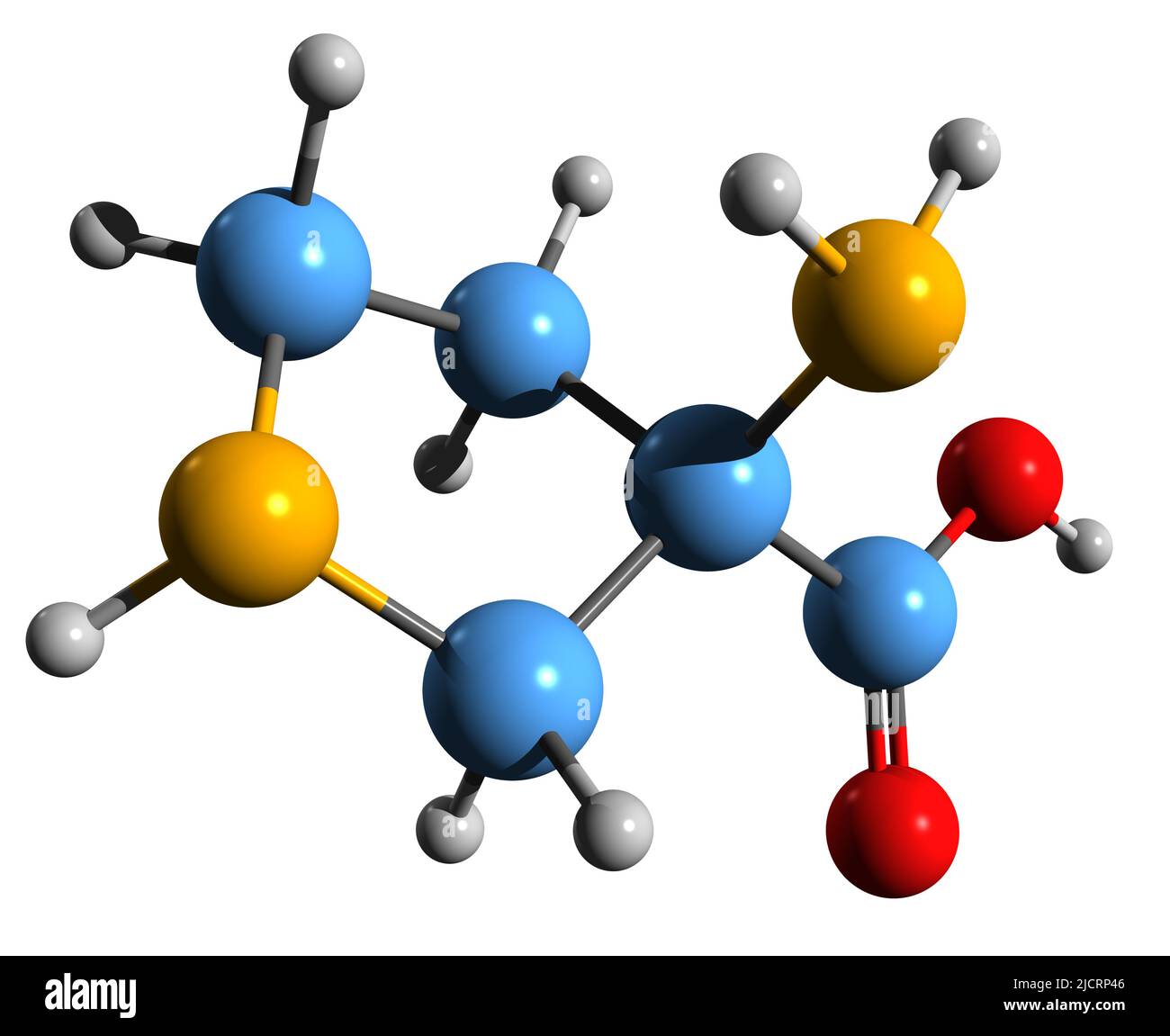 3D image of Cucurbitin skeletal formula - molecular chemical structure of carboxypyrrolidine isolated on white background Stock Photo