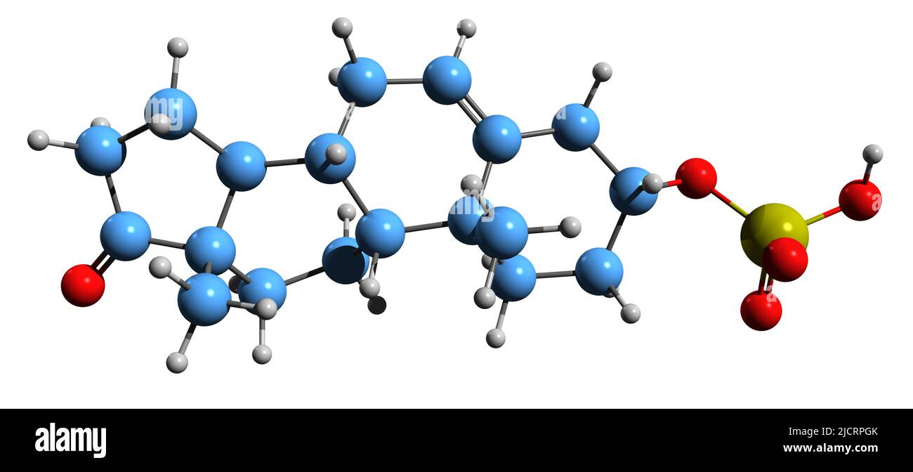 3D image of Dehydroepiandrosterone sulfate skeletal formula molecular
