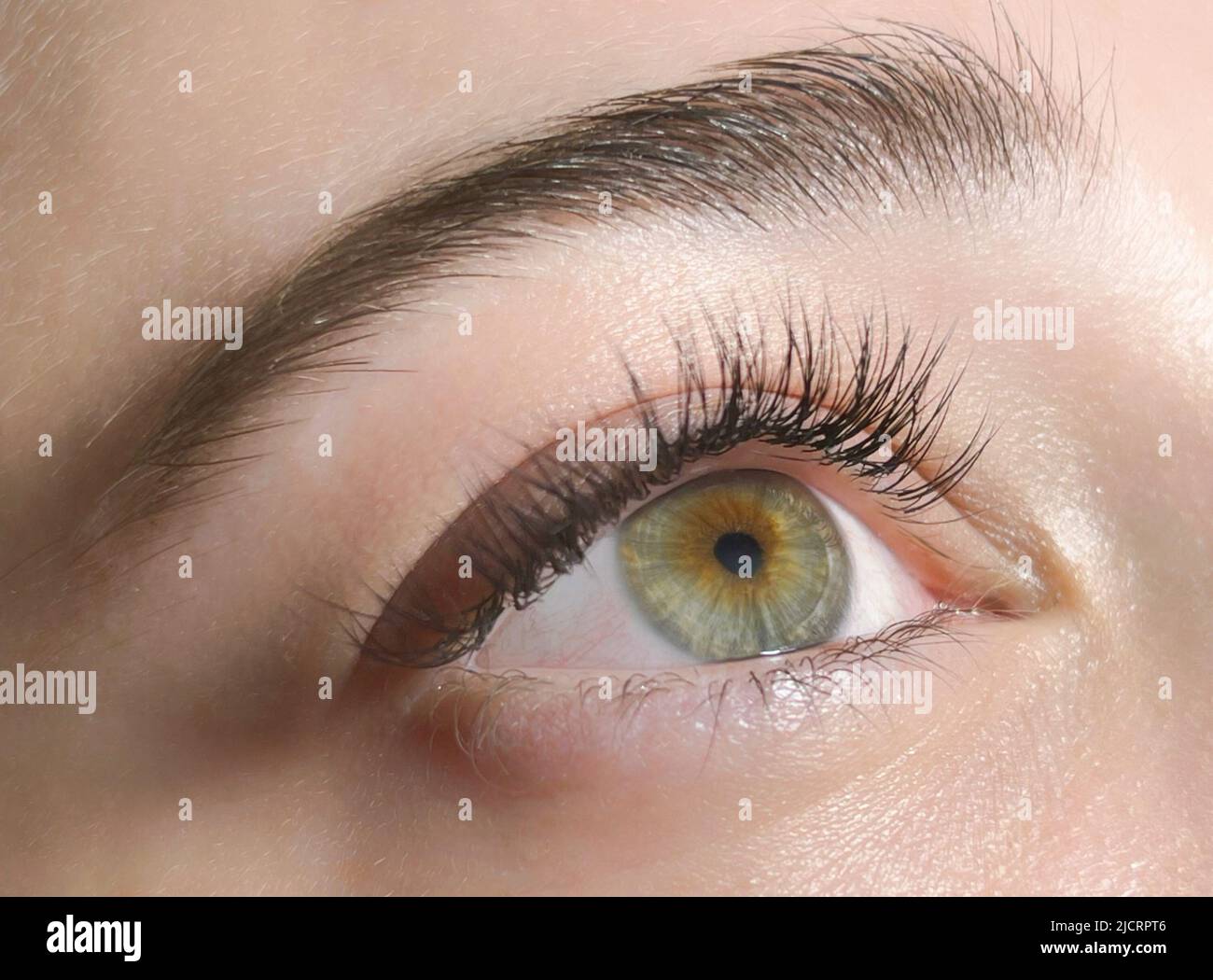 The procedure of classical eyelash extension. Beautiful female eyes close-up with long eyelashes Stock Photo