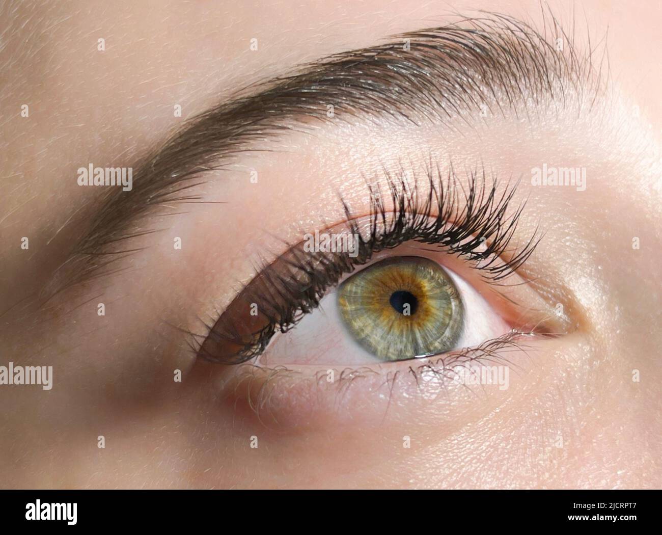 The procedure of classical eyelash extension. Beautiful female eyes close-up with long eyelashes Stock Photo