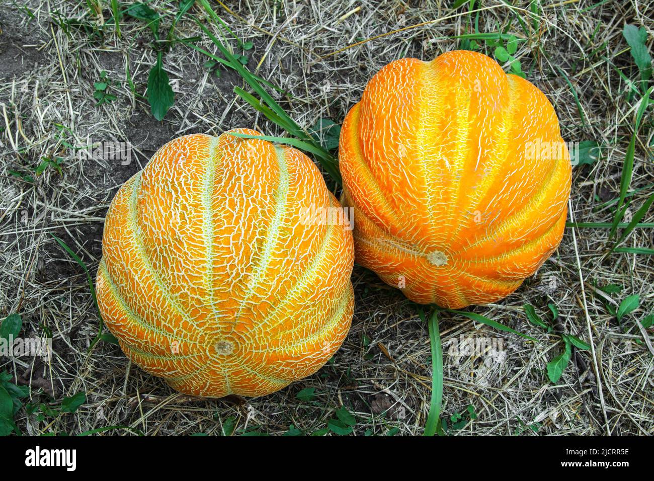 Vyminy hires stock photography and images Alamy