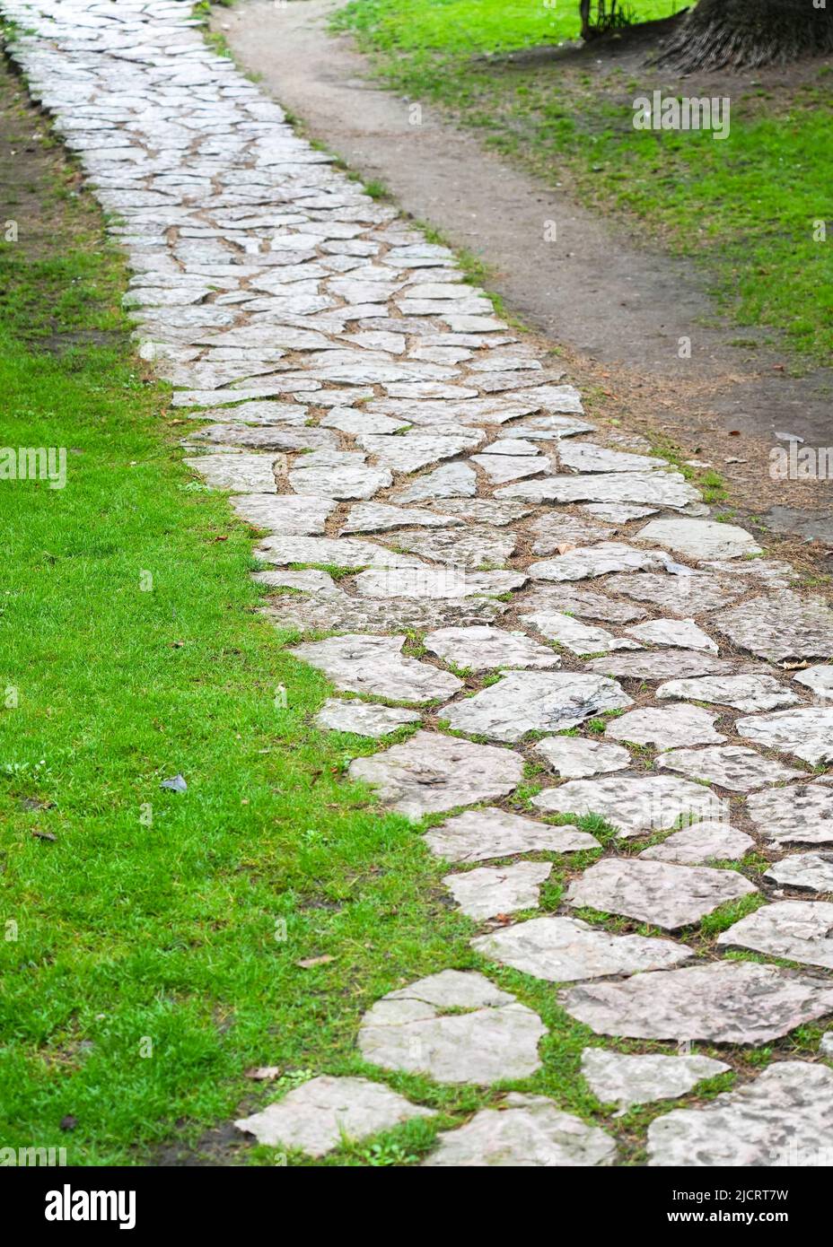 Stepping stone path in lawn hi-res stock photography and images - Alamy