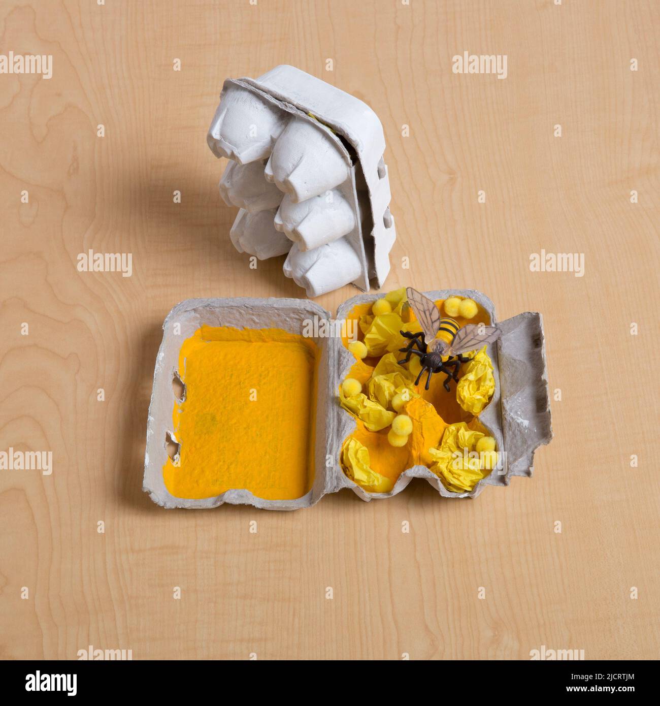 A children’s craft project using an egg carton to depict the interior of a honeybee honeycomb with larvae and pollen. Stock Photo