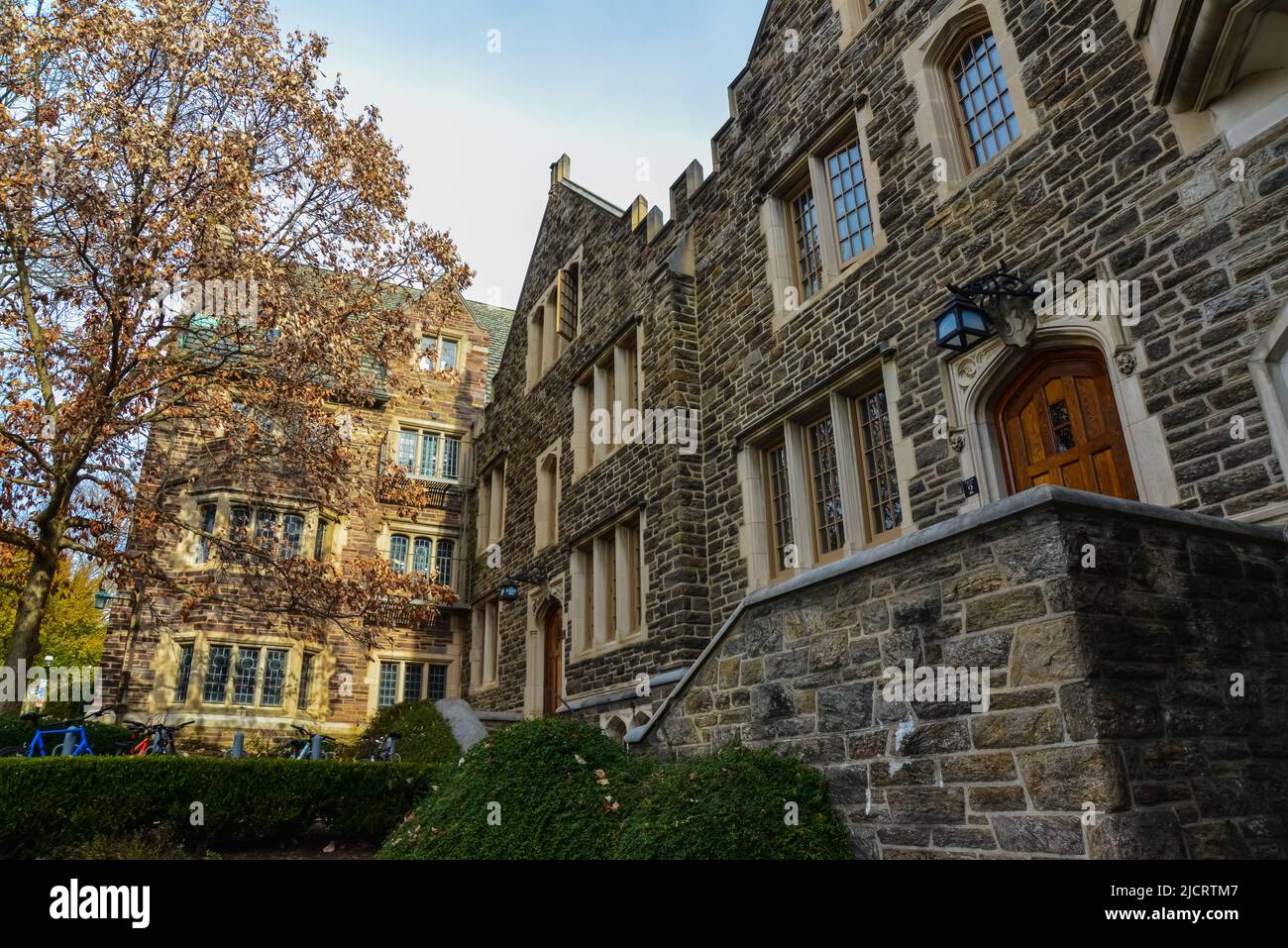 Ivy league university hires stock photography and images Alamy