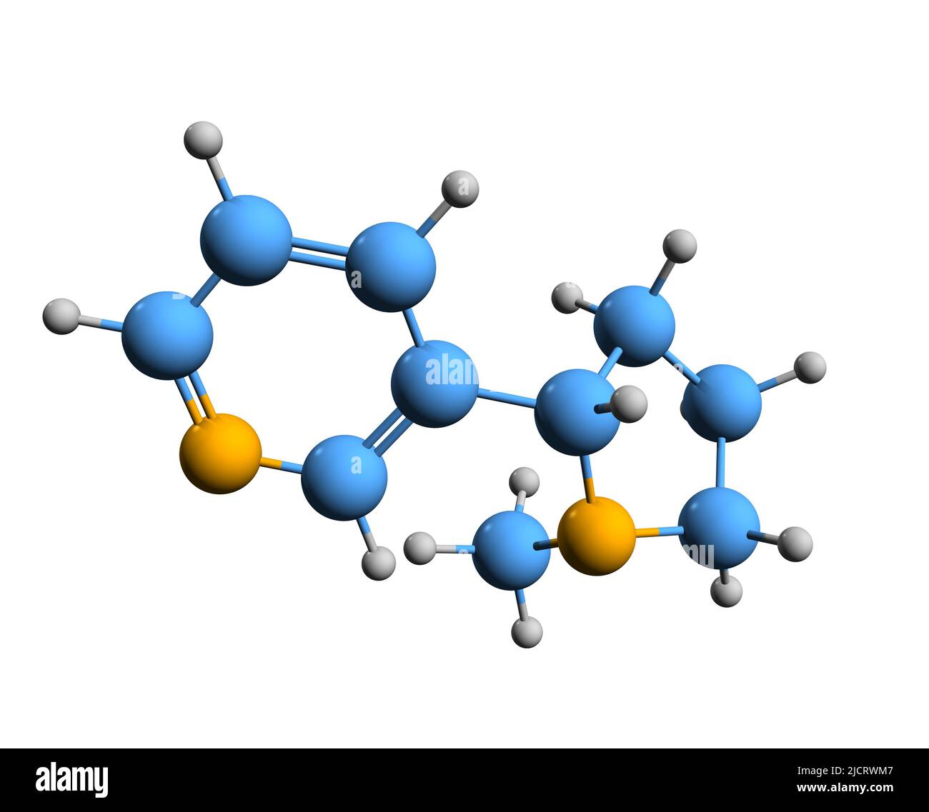3D image of nicotine skeletal formula - molecular chemical structure of potent parasympathomimetic alkaloid isolated on white background Stock Photo