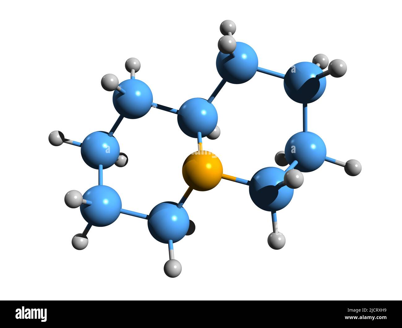 3D image of quinolizidine skeletal formula - molecular chemical structure of Norlupinane isolated on white background Stock Photo