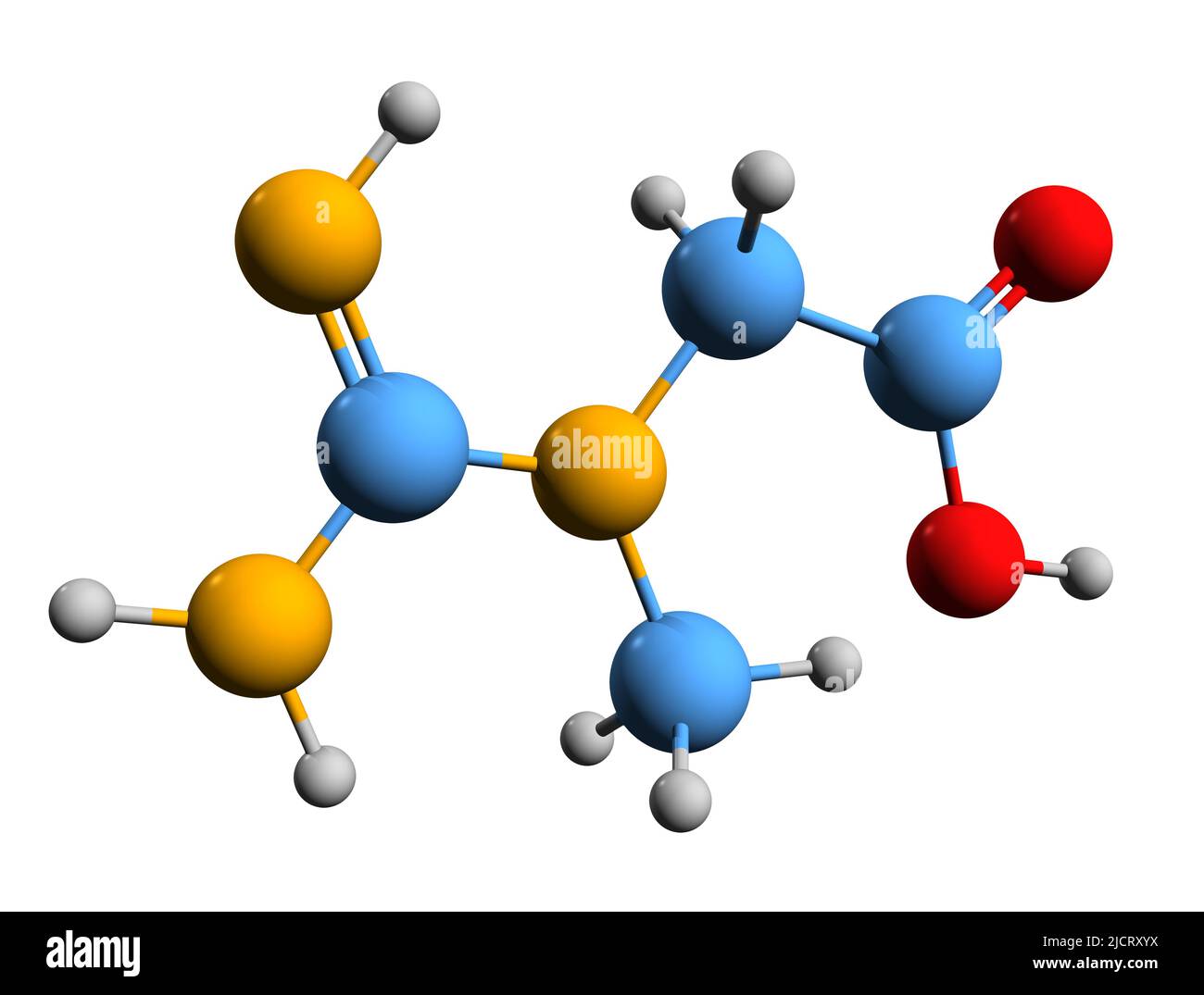 3D image of creatine skeletal formula molecular chemical structure of methylguanidoacetic acid