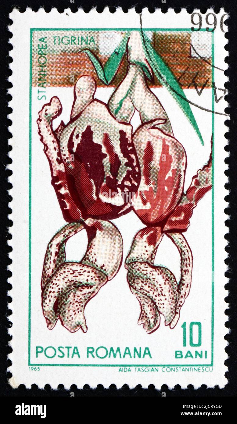 ROMANIA - CIRCA 1965: a stamp printed in the Romania shows Stanhopea, Stanhope Orchid, Plant, circa 1965 Stock Photo