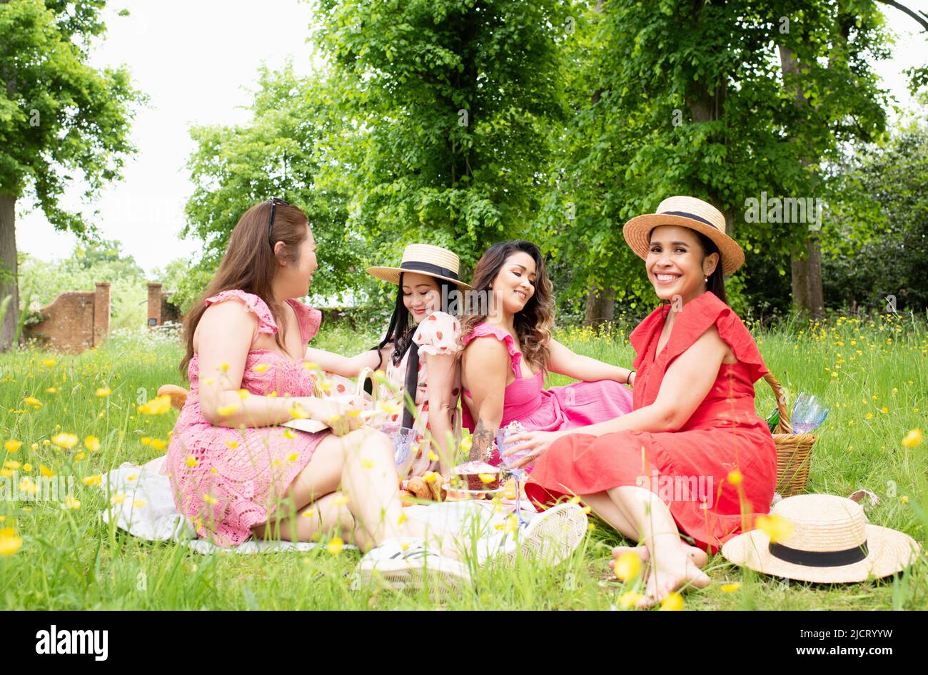 Group of friends having picnic in park hi-res stock photography and ...