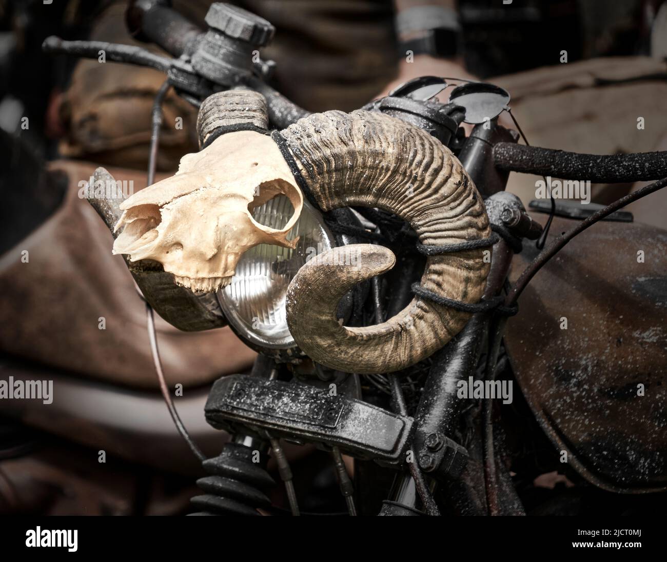 Skeleton of the upper jaw, forehead and horns of a ram as a decoration on the handlebars of a rusty motorcycle Stock Photo