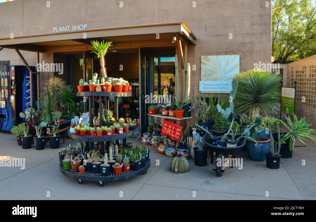 USA, PHENIX, ARIZONA NOVEMBER 17, 2019 a shop selling different types