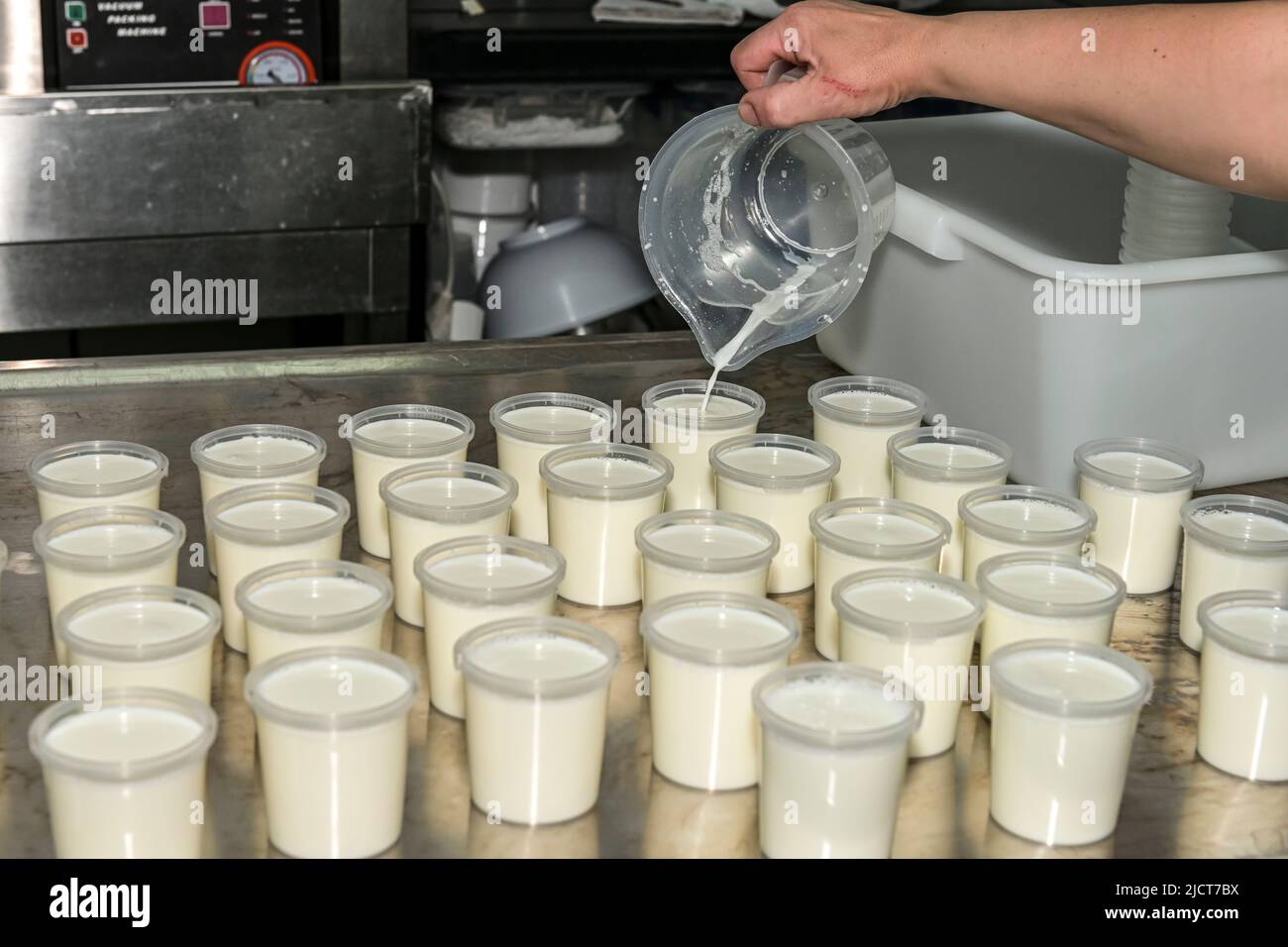 Elaboration of natural yogurt with goat's milk Stock Photo