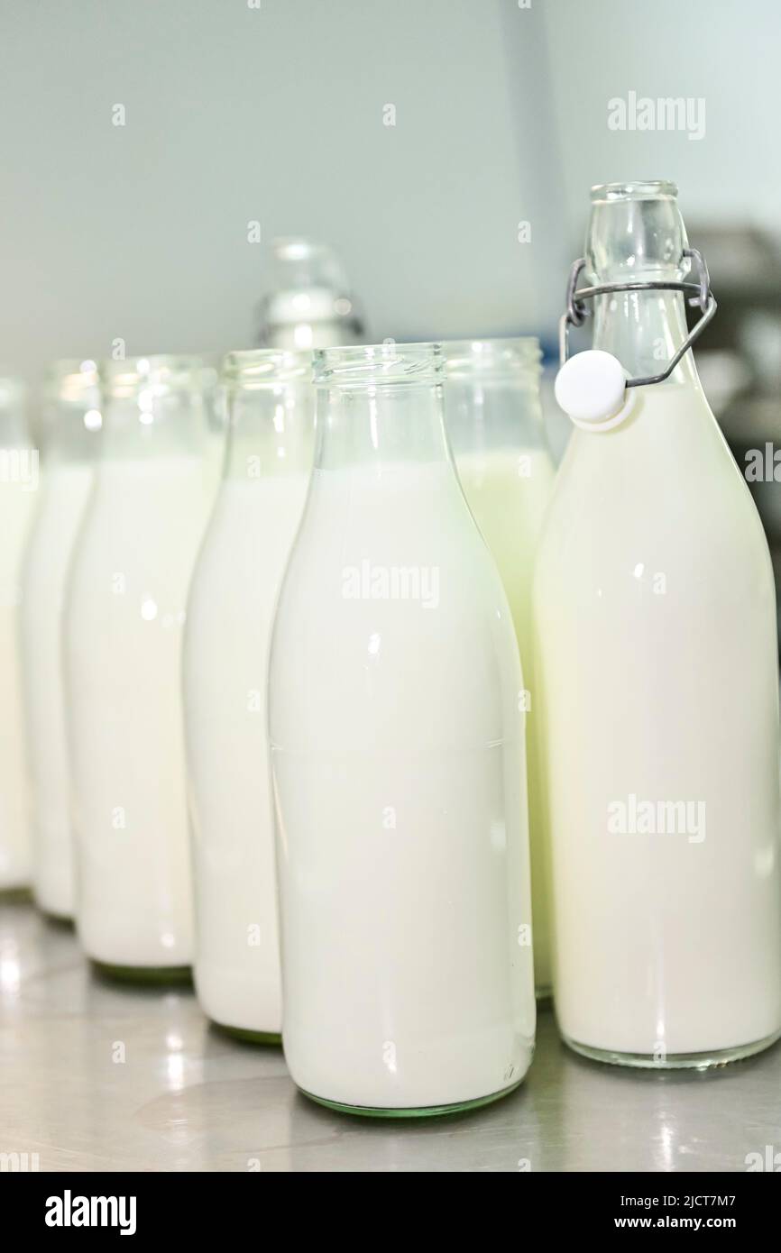 Glass bottles, filled with fresh goat's milk Stock Photo Alamy