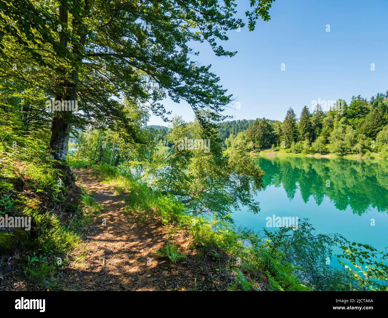 Trail along coastline of forested nature area around Lokve lake (Lokvarsko jezero) in Croatia Europe Stock Photo