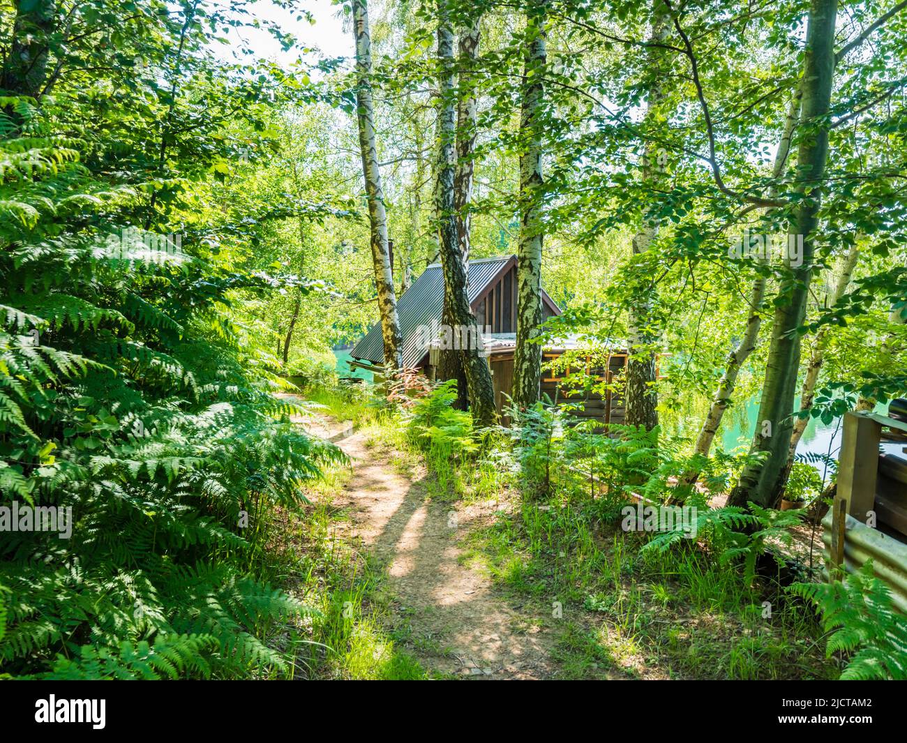 Lonely wooden house in forested nature area around Lokve lake (Lokvarsko jezero) in Croatia Europe Stock Photo