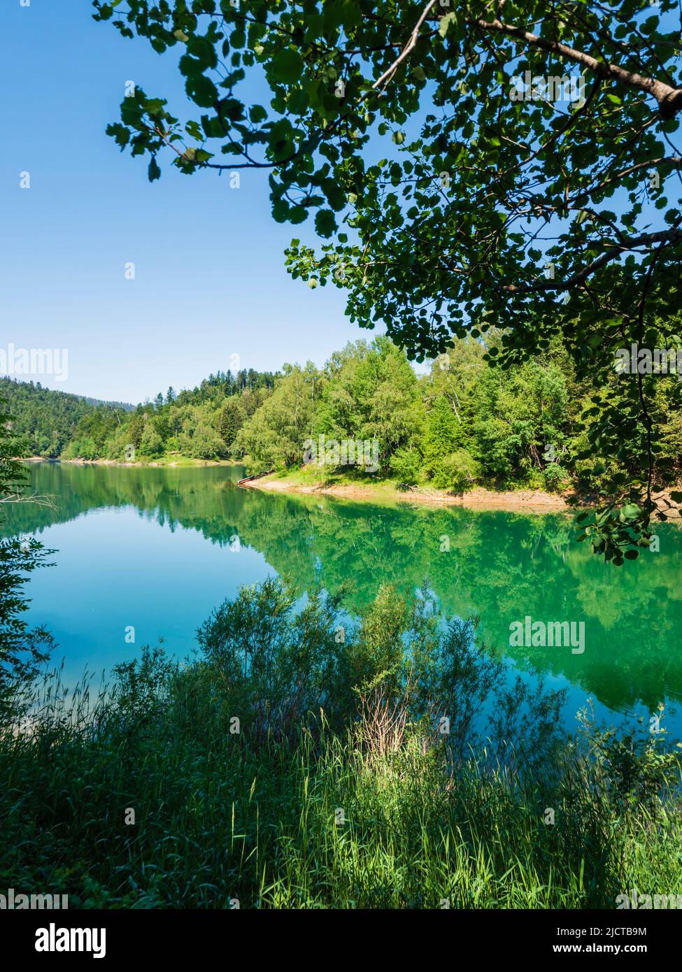 Forested nature area around Lokve lake (Lokvarsko jezero) in Croatia Europe Stock Photo