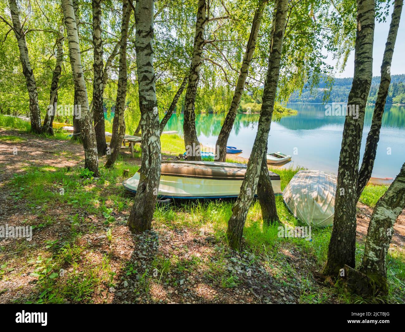 Boats ashore forested nature area around Lokve lake (Lokvarsko jezero) in Croatia Europe Stock Photo