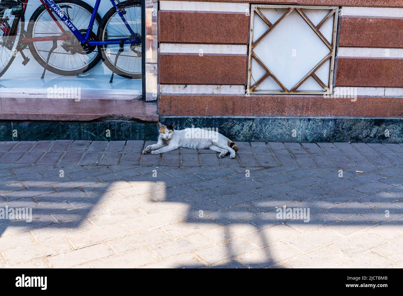 Cairo Street Photography Stock Photo