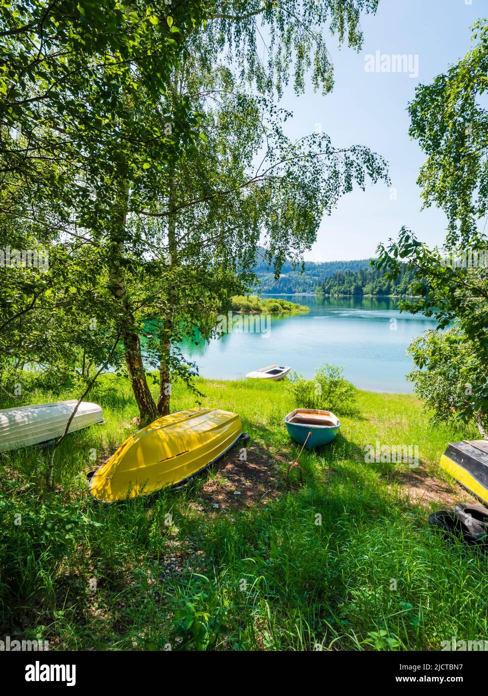 Boats ashore forested nature area around Lokve lake (Lokvarsko jezero) in Croatia Europe Stock Photo