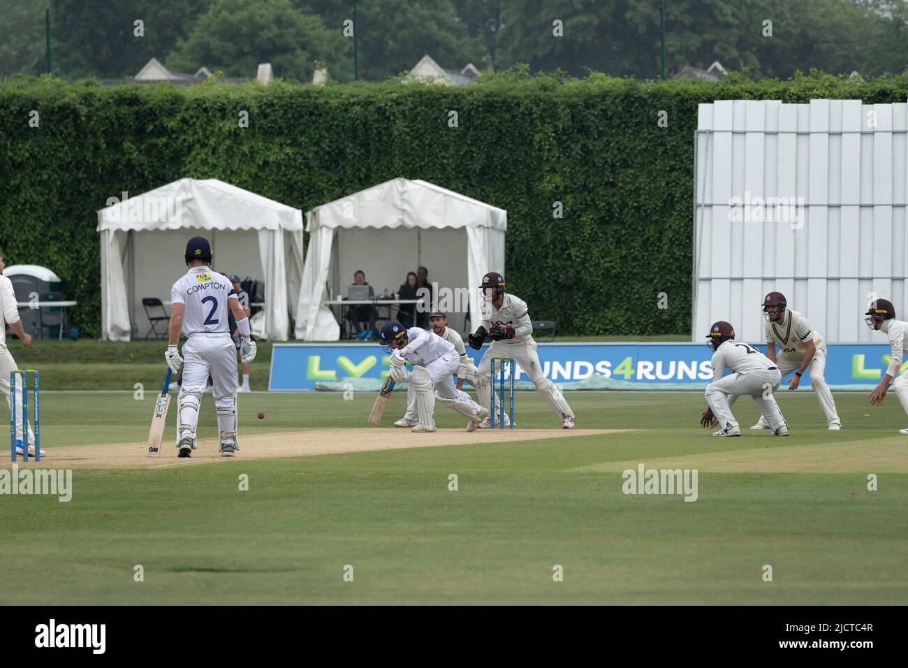 Defending the wicket Stock Photo