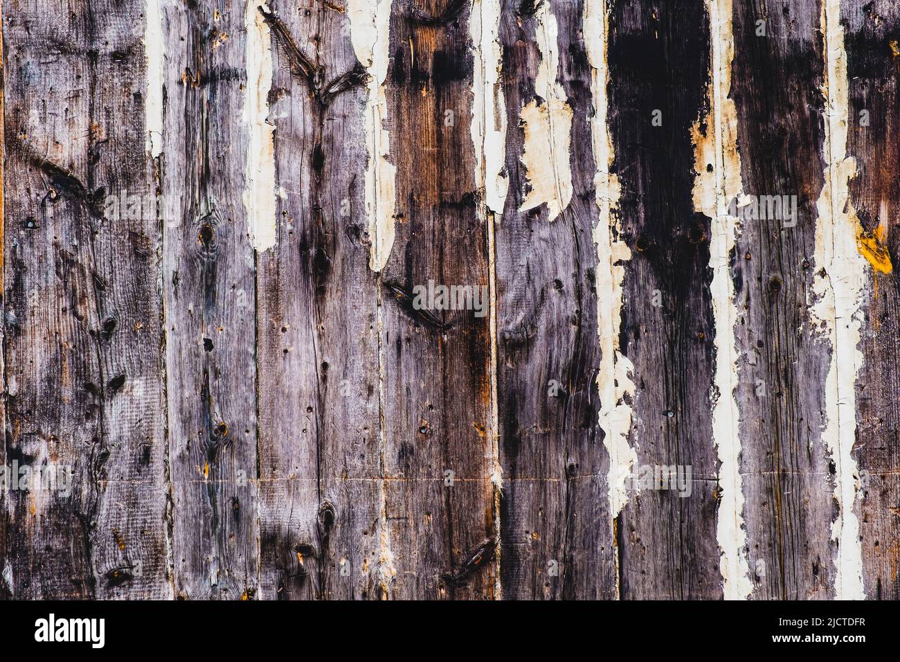 Texture of an old weathered wooden wall made of planks with peeling