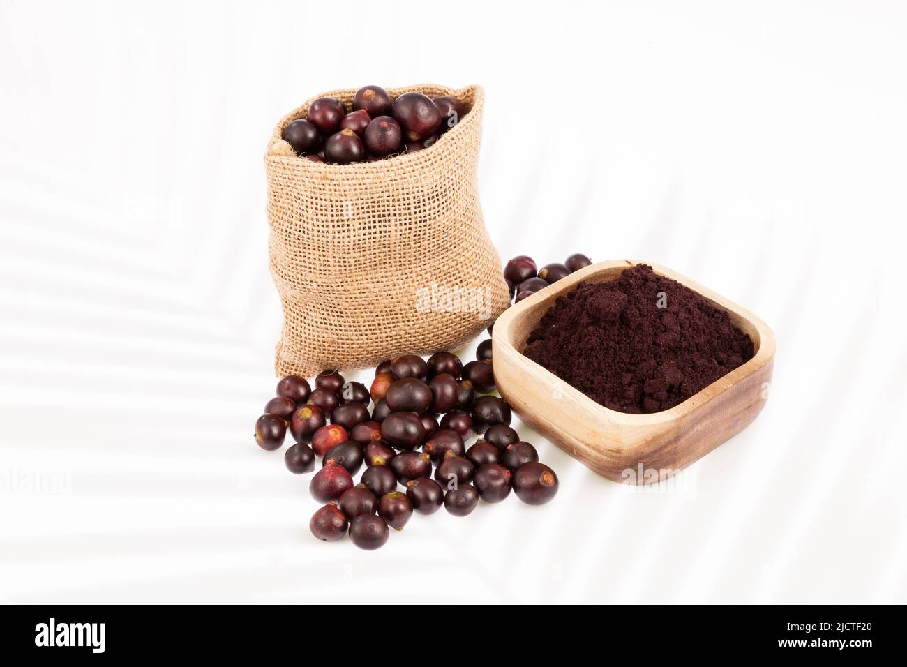 Fruit and acai powder - Euterpe oleracea. Stock Photo