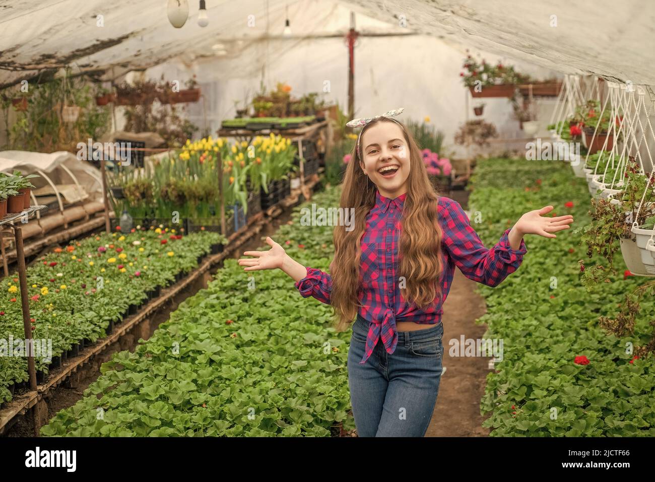 happy teen girl florist care pot plants in greenhouse, summer Stock ...