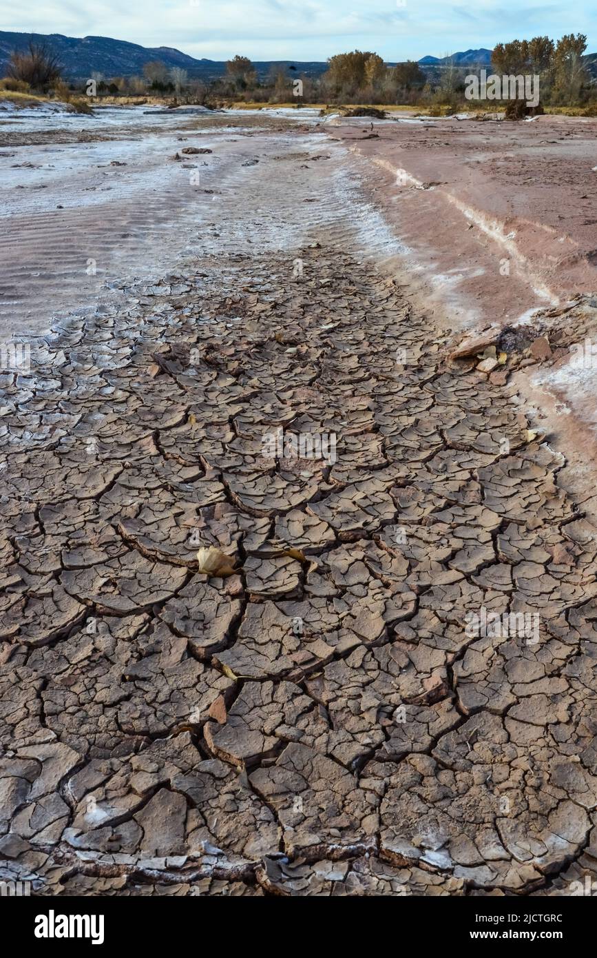 Cracked red clay and white salt on the surface in a dried riverbed in