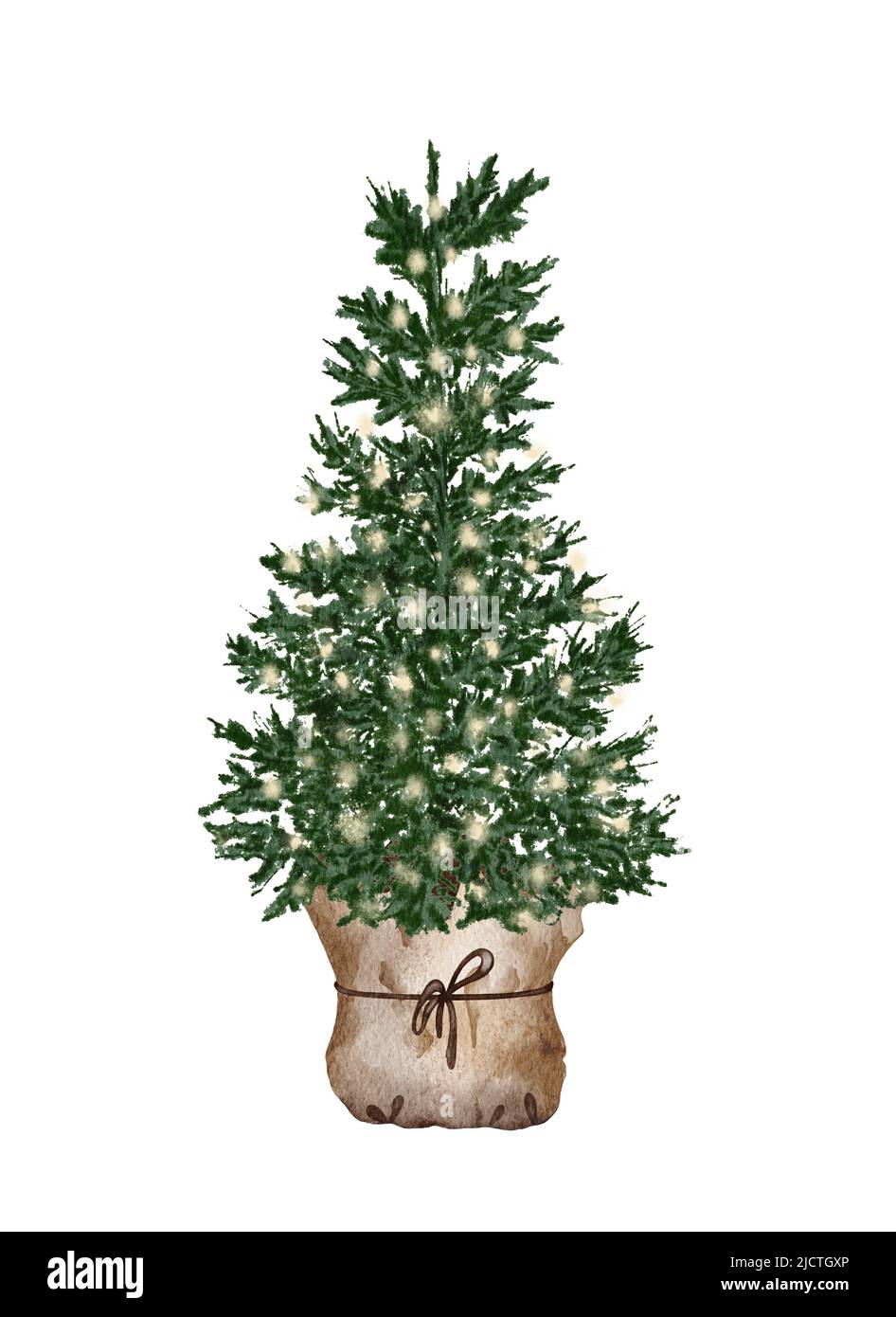 Evergreen pine tree in rustic pot with christmas lights,pine cone, firry.  Watercolor illustration. Farmhouse Christmas tree isolated on the white  back Stock Photo - Alamy