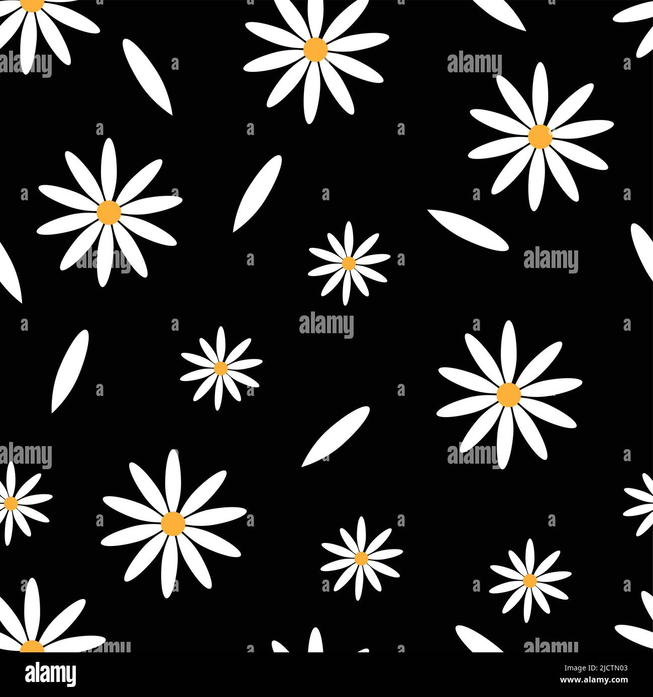 Buds and petals of chamomile on black backdrop Stock Vector