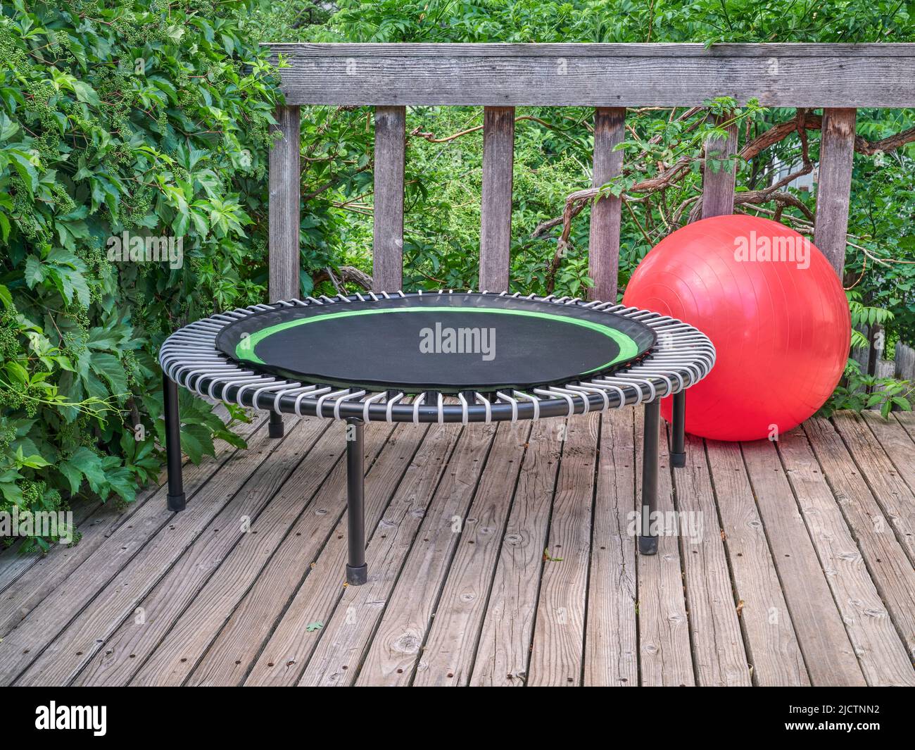 mini trampoline for fitness exercising and rebounding and balance ball