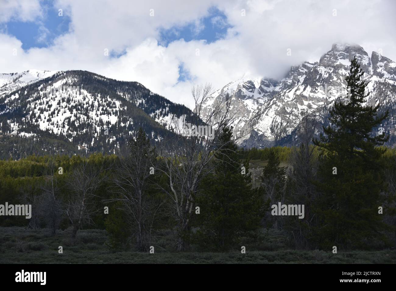 Grand Teton National Park, WY. U.S.A. 5/21-2022. The Grand Teton, is