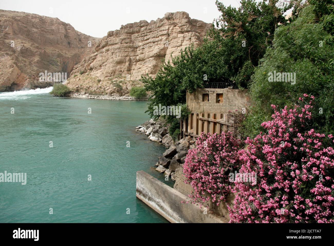 Wild flowers bloom at the Kajaki Dam in Kajaki, Helmand province, Afghanistan May 24, 2012. The dam powers thousands of homes and businesses in the en Stock Photo