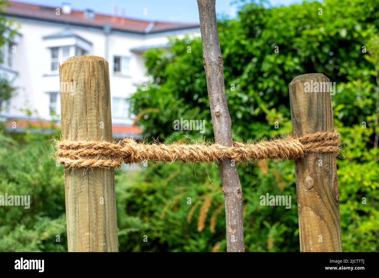 Fixed tree branch hi-res stock photography and images - Alamy