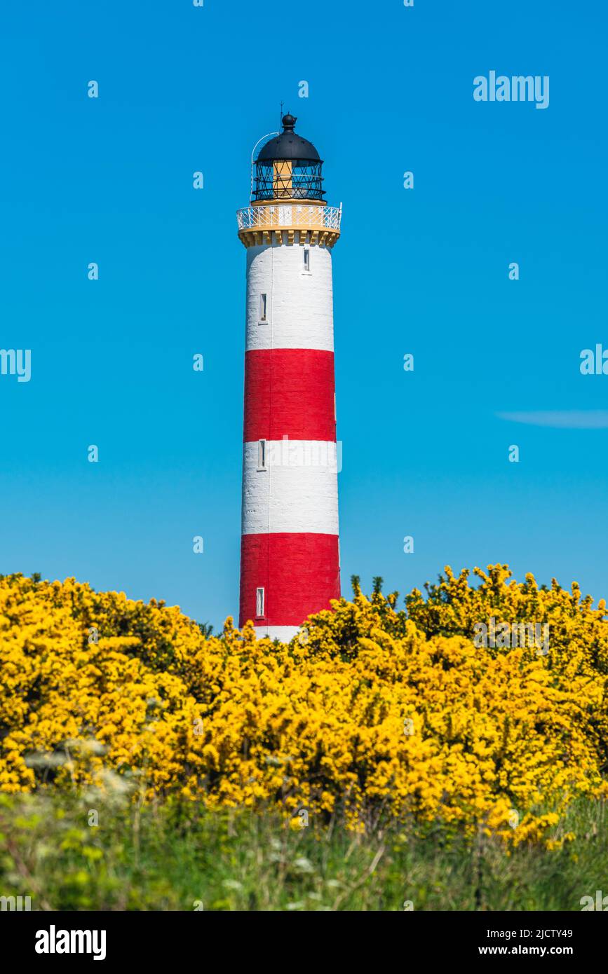 Tarbat Ness Lighthouse, Portmahomack, Highland, East Coast of Scotland, UK Stock Photo