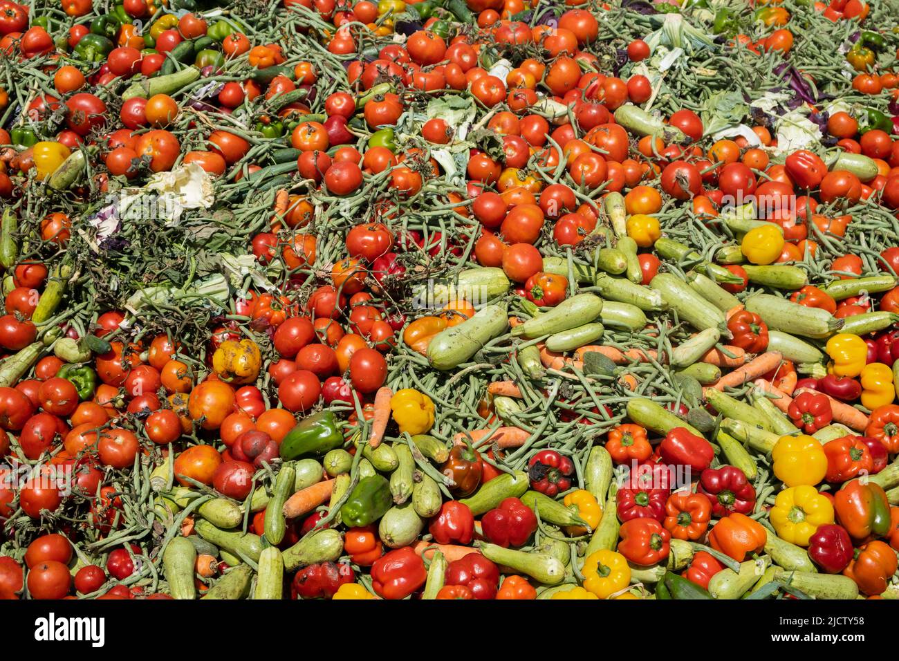 Mix of Expired Vegetables. Heap of Organic biowaste for Compost. Full frame Stock Photo Alamy