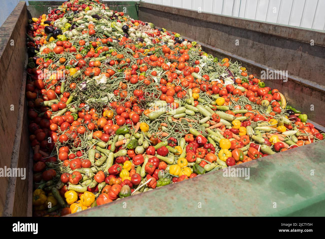 Mix of Expired Vegetables in a huge container, Organic bio waste in a rubbish bin. Heap of