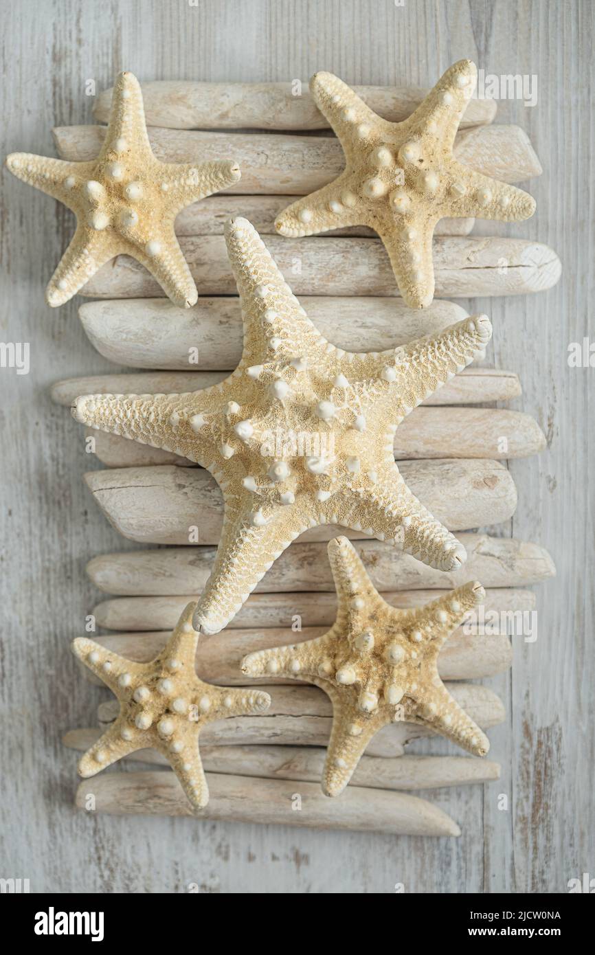 Decoration with starfish and driftwood hi-res stock photography and images  - Alamy