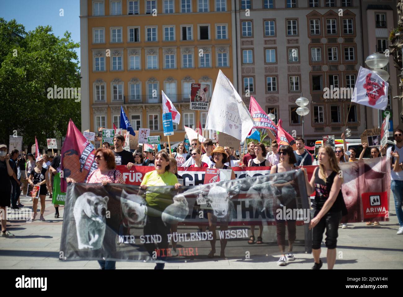 Munich, Germany. 04th June, 2022. More than 230 people gathered in Munich, Germany at the Animal Liberation March to protest against meat consumption, food of animal origin, hunting, leather and fury and for a vegan diet for everyone. (Photo by Alexander Pohl/Sipa USA) Credit: Sipa USA/Alamy Live News Stock Photo