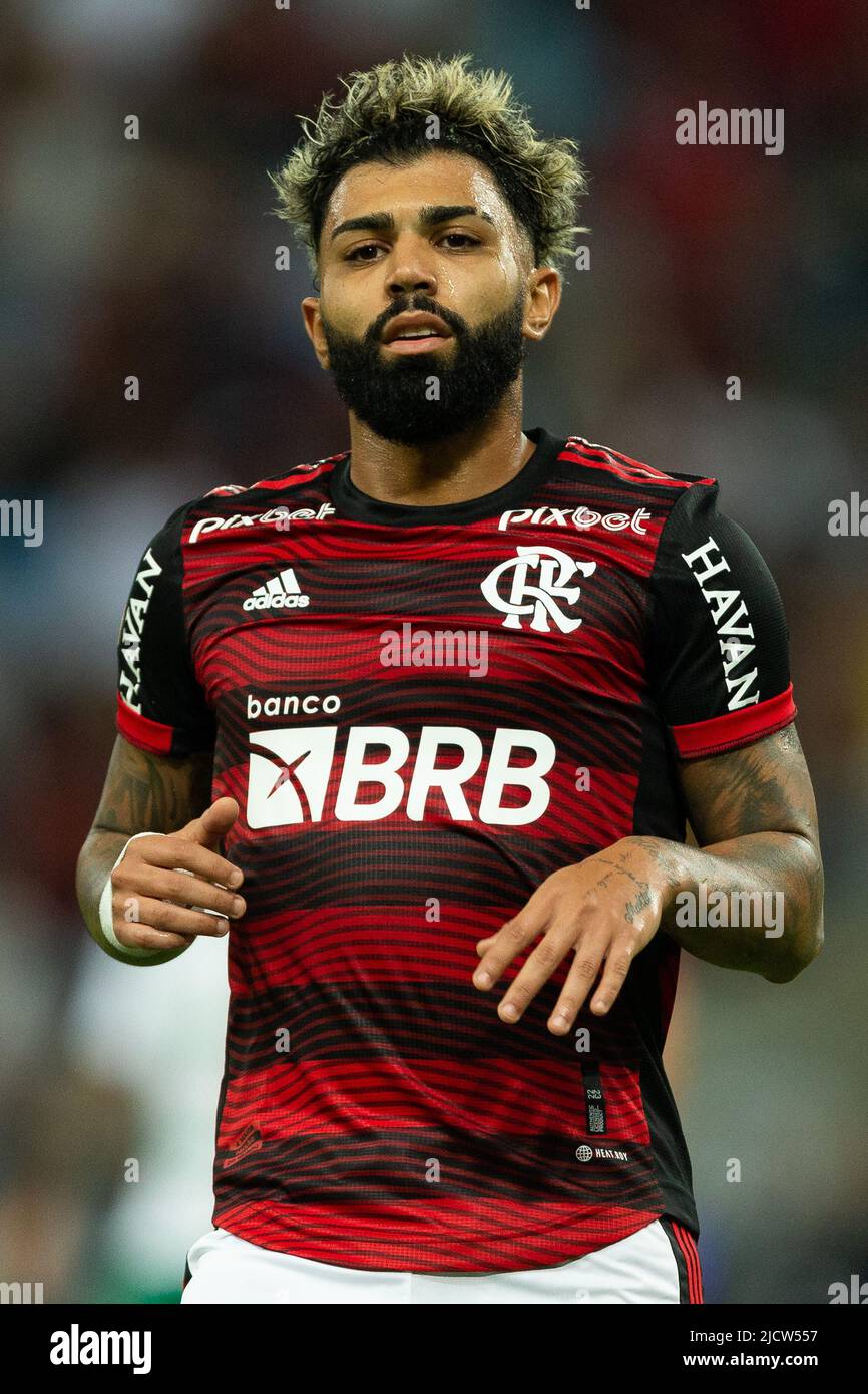 Gabriel Barbosa (Gabigol), Biografia e Wiki