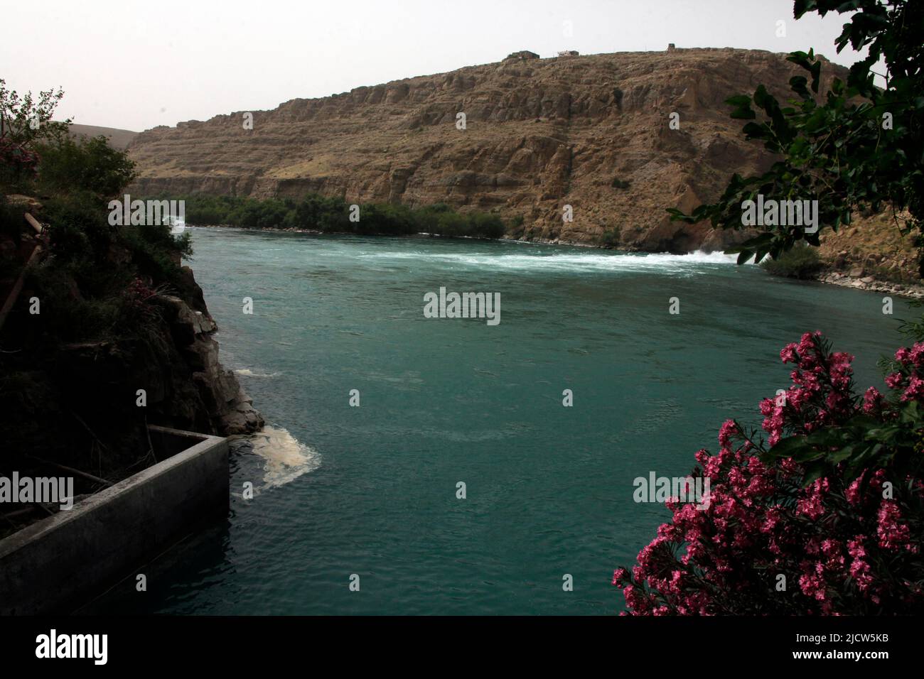 Wild flowers bloom at the Kajaki Dam in Kajaki, Helmand province