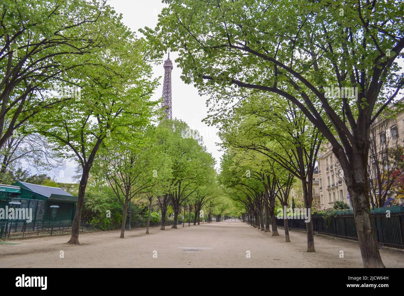 street with tunnel of trees in Paris Stock Photo